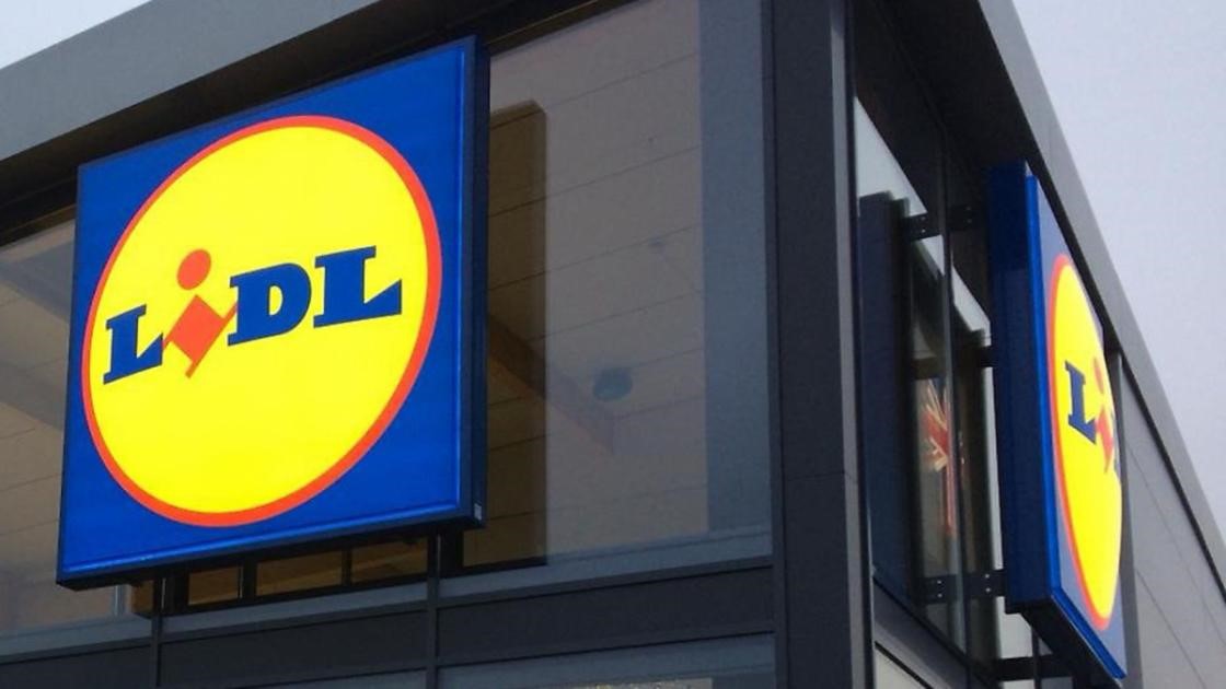 New Lidl store at Broadland Gate, Norwich Pigeon